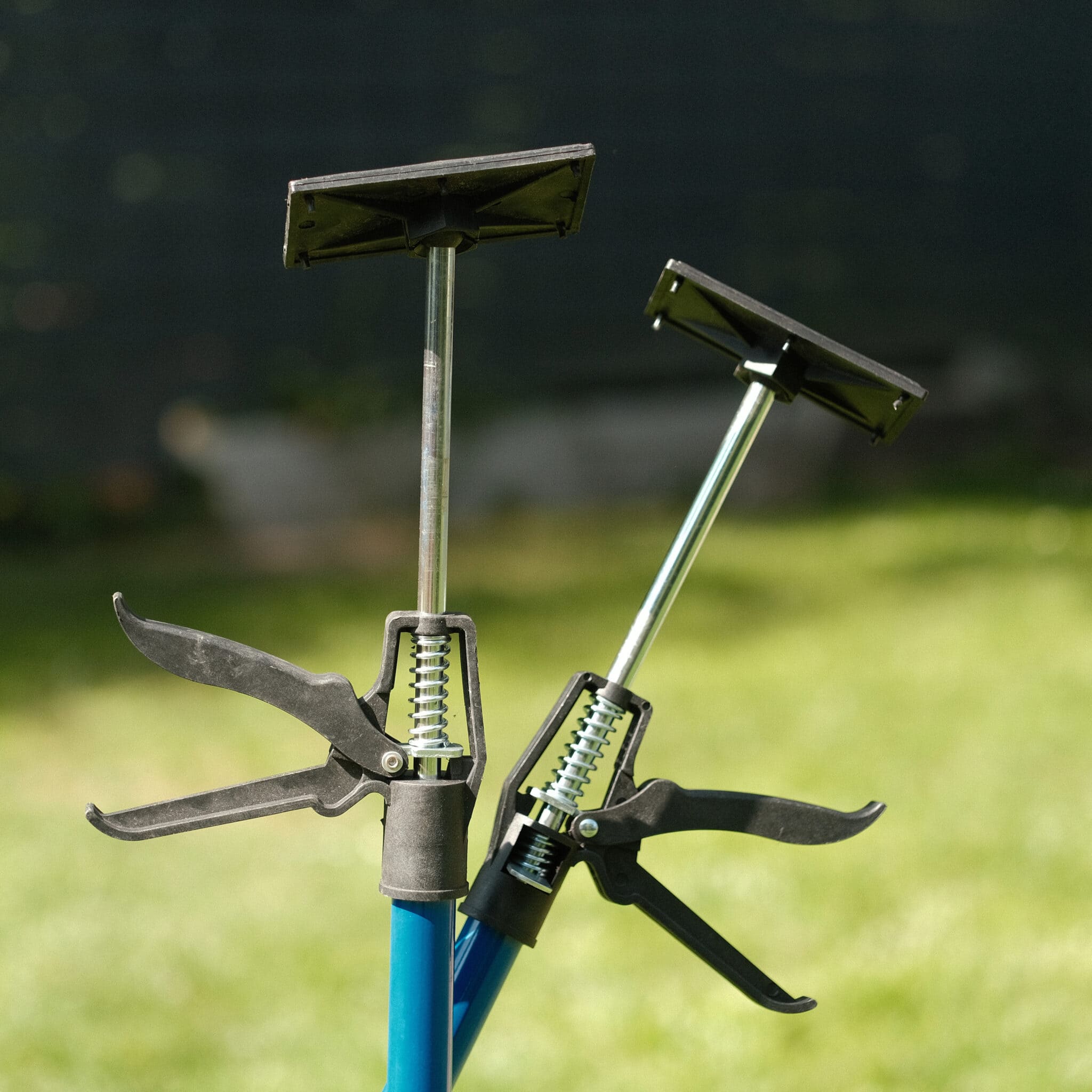 Türzargenspanner, 